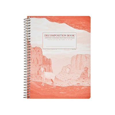 Decomposition - Large Spiral Notebook Ruled - Moab