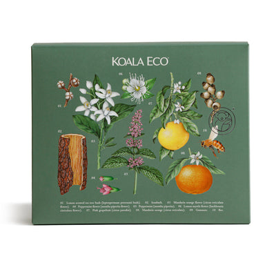 Koala Eco Gift Collection - Clean & Safe 3Pk