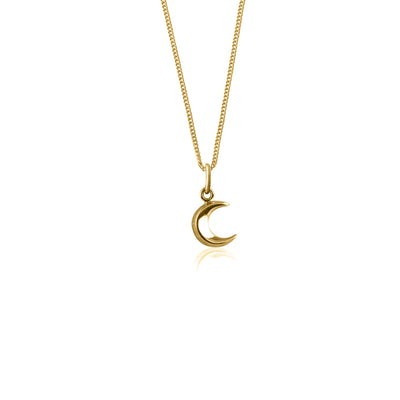 To the Moon and Back Necklace (Gold)