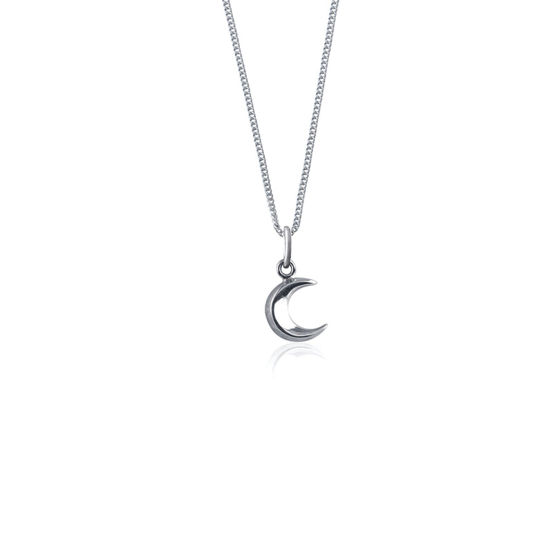 To the Moon and Back Necklace (Silver)