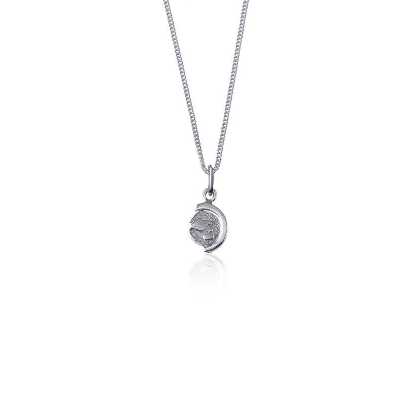 Globetrotter Necklace (Silver)