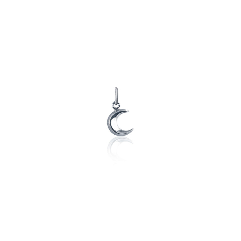 To the Moon and Back Charm (Silver)