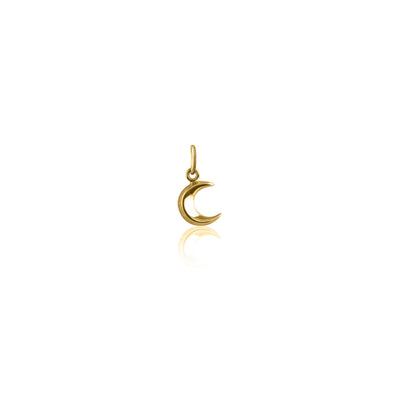 To the Moon and Back Charm (Gold)