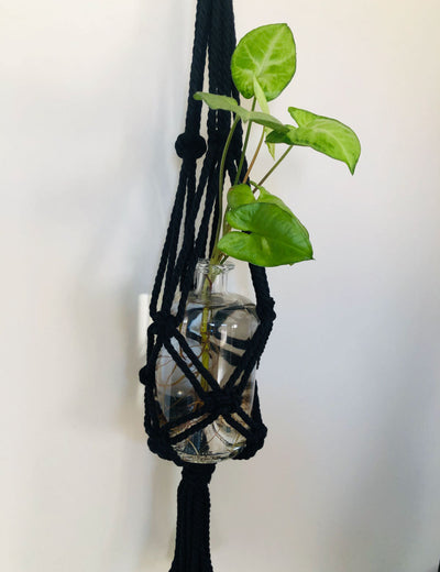 Black Macrame Plant Hanger And Bottle